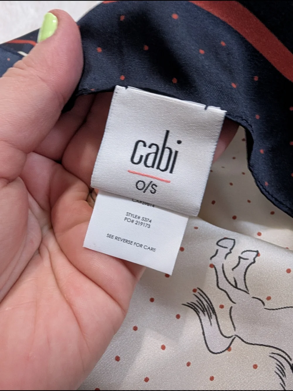 CAbi 100% silk